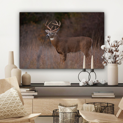 Canvas schilderij - Herfst - Hert - Gras - Natuur - Dieren-3