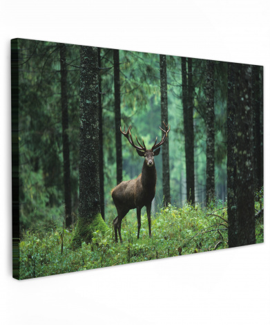 Canvas schilderij - Hert - Bos - Bomen - Dieren - Natuur