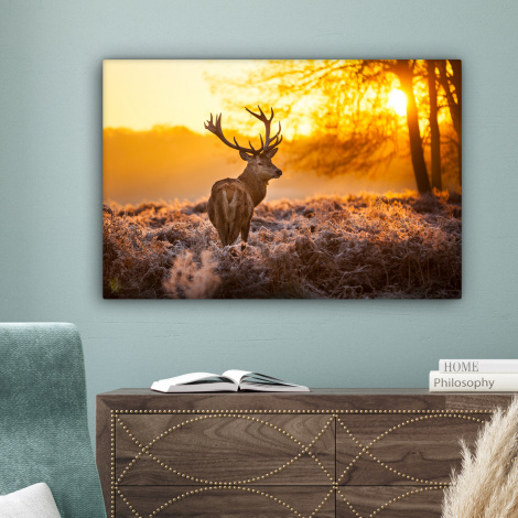 Leinwandbild - Hirsch - Tiere - Sonnenuntergang - Winter - Heide - Natur-4