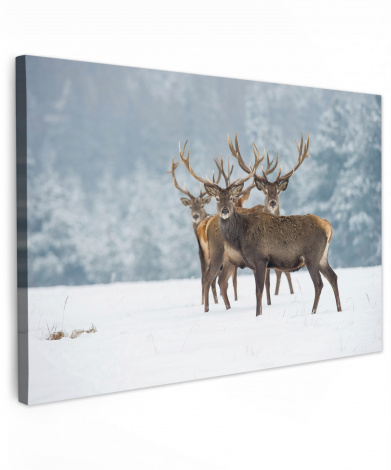 Canvas schilderij - Hert - Dieren - Sneeuw - Winter - Landschap - Natuur