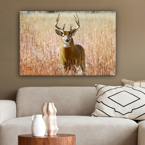Canvas schilderij - Hert - Gras - Herfst - Dieren - Natuur - Gewei-2