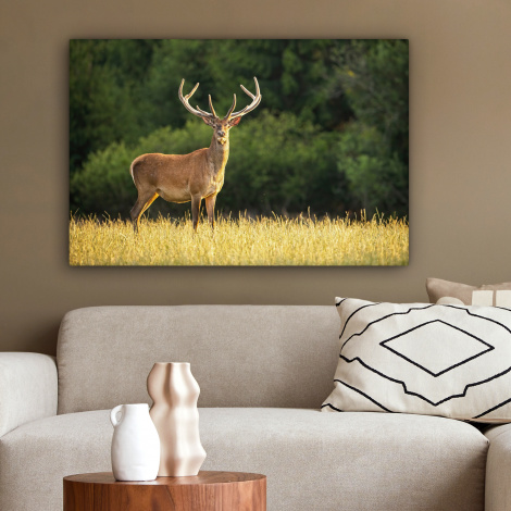 Canvas schilderij - Hert - Gewei - Gras - Natuur - Dieren - Groen-2