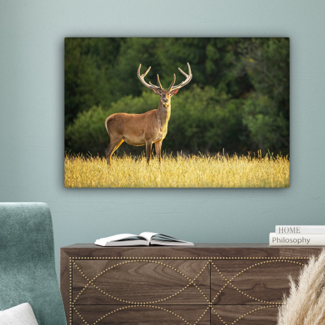Canvas schilderij - Hert - Gewei - Gras - Natuur - Dieren - Groen-4