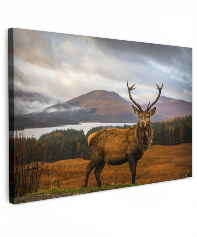 Leinwandbild - Hirsch - Berg - Wasser - Landschaft - Tiere - Bäume