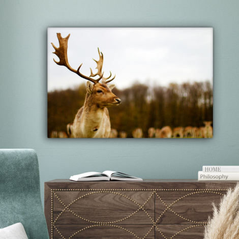 Leinwandbild - Damhirsch - Wald - Herde - Tiere - Natur-4