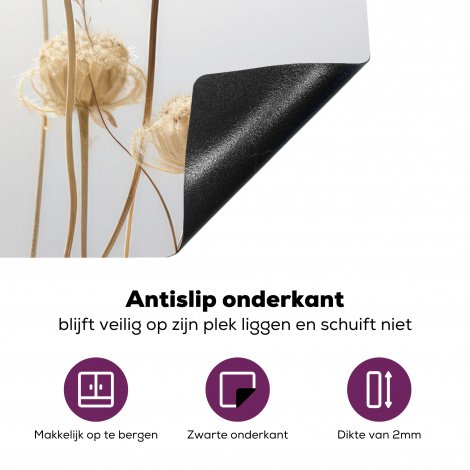 Inductiebeschermer - Droogbloemen - Natuur - Botanisch-4