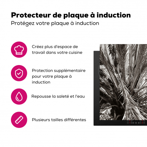 Protège-plaque à induction - Palmier - Tropical - Noir - Blanc-3