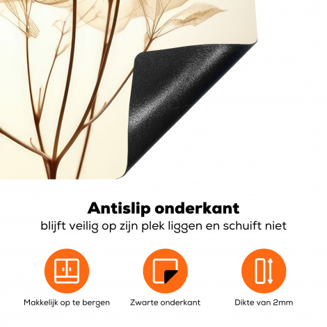 Inductiebeschermer - Droogbloemen - Beige - Planten - Wit-4