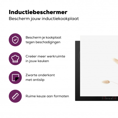 Inductiebeschermer - Pampasgras - Pluim - Wit - Beige-3