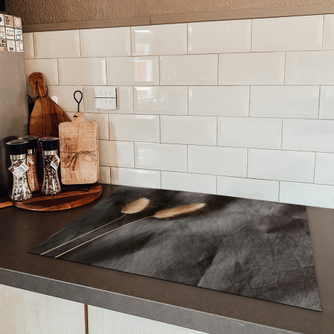 Inductiebeschermer - Pampasgras - Pluim - Zwart - Beige-5