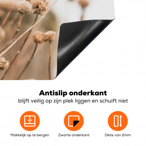 Inductiebeschermer - Droogbloemen - Beige - Bloemen - Natuur-4