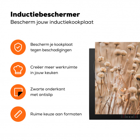 Inductiebeschermer - Droogbloemen - Beige - Bloemen - Natuur-3