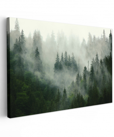 Leinwandbild Wald Nebel Bäume Natur