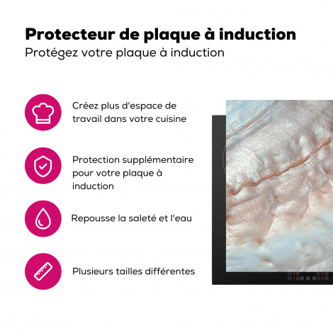Protège-plaque à induction - Coquillages - Abstrait - Nature-3