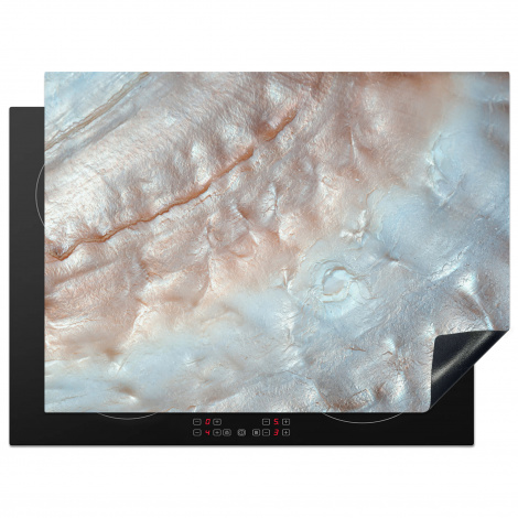 Herdabdeckplatte - Muscheln - Abstrakt - Natur