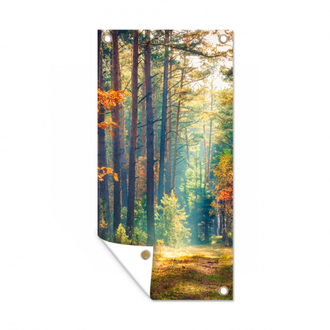 Outdoor Poster - Wald - Sonne - Natur - Herbst - Vertikal-1