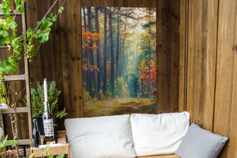 Outdoor Poster - Wald - Sonne - Natur - Herbst - Vertikal-thumbnail-4