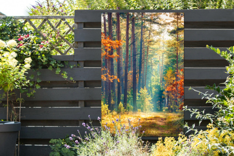 Outdoor Poster - Wald - Sonne - Natur - Herbst - Vertikal-2