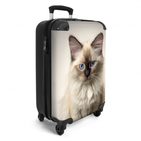 Koffer - Kat - Dieren - Ragdoll - Poes-2
