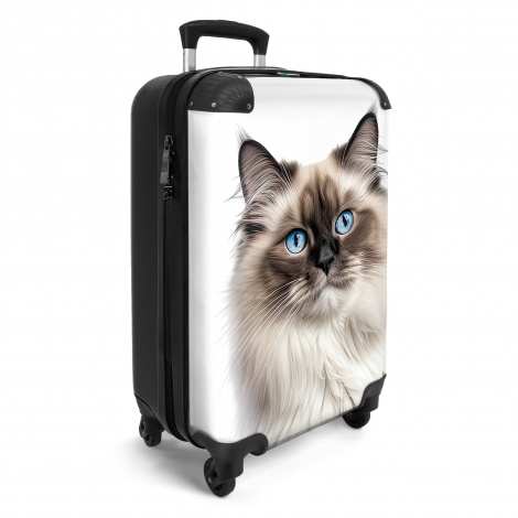 Koffer - Poes - Kat - Huisdieren - Ragdoll-2