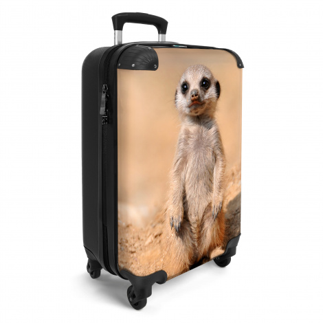 Koffer - Stokstaart - Woestijn - Zand - Wilde dieren-2