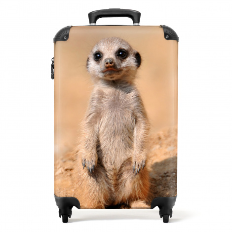 Koffer - Stokstaart - Woestijn - Zand - Wilde dieren