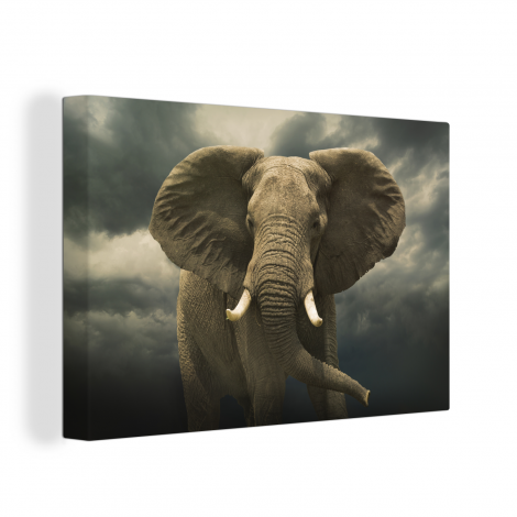 Leinwand - Afrikanischer Elefant gegen die dunklen Wolken-thumbnail-1