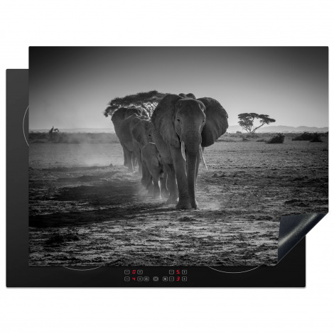 Protège-plaque à induction - Éléphants au Kenya en noir et blanc