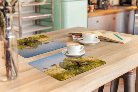 Premium placemats (6 stuks) - Olifant schuilt achter bosje - 45x30 cm-3