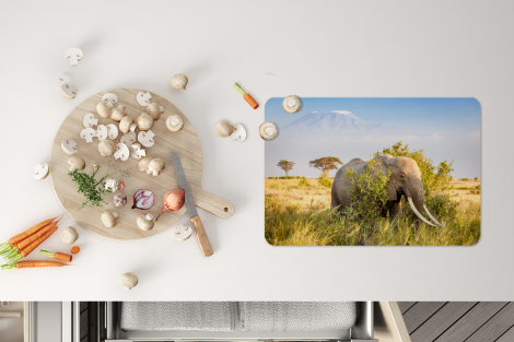 Premium placemats (6 stuks) - Olifant schuilt achter bosje - 45x30 cm-4