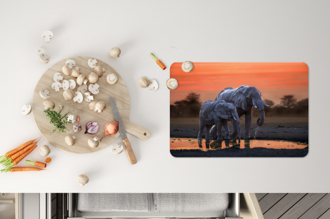 Premium placemats (6 stuks) - Twee olifanten bij zonsondergang - 45x30 cm-4