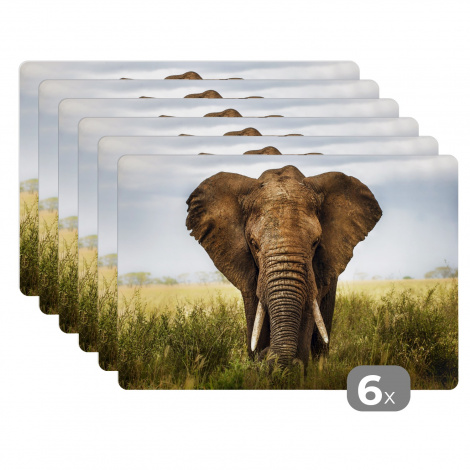 Premium placemats (6 stuks) - Dreigende olifant - 45x30 cm