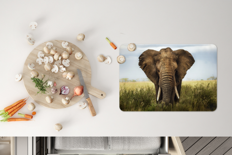 Premium placemats (6 stuks) - Dreigende olifant - 45x30 cm-4