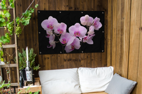 Tuinposter - Orchidee - Bloemen - Roze - Zwarte achtergrond - Liggend-thumbnail-3