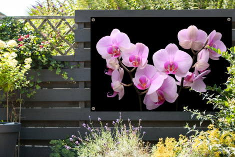 Tuinposter - Orchidee - Bloemen - Roze - Zwarte achtergrond - Liggend-thumbnail-2