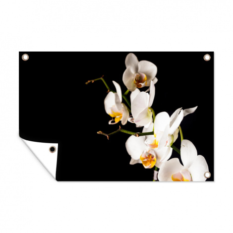 Tuinposter - Orchidee - Bloemen - Planten - Botanisch - Liggend-thumbnail-1