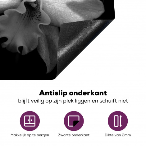 Inductiebeschermer - Twee orchidee bloemen - zwart wit-4