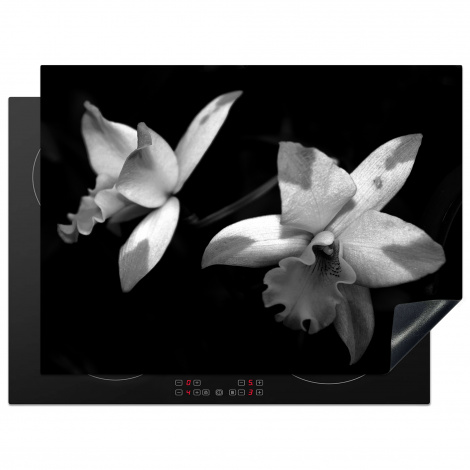 Herdabdeckplatte Zwei Orchideenblüten - schwarz und weiß