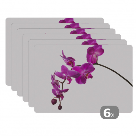 Premium placemats (6 stuks) - Orchidee tegen witte achtergrond - 45x30 cm