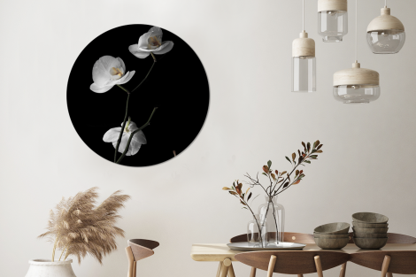 Runde Bilder - Orchidee - Blumen - Schwarz - Weiß-3