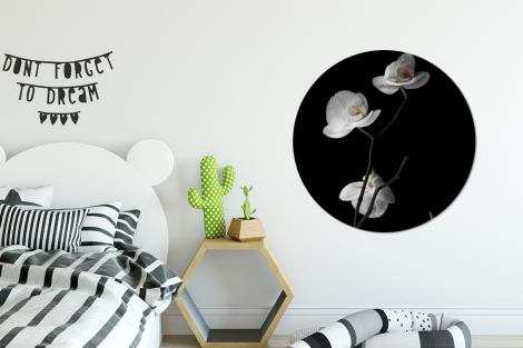 Runde Bilder - Orchidee - Blumen - Schwarz - Weiß-2