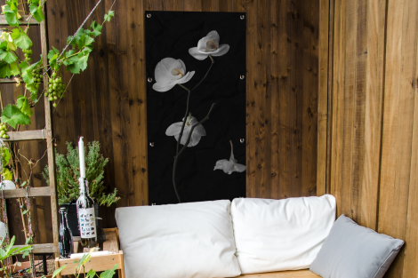 Tuinposter - Orchidee - Bloemen - Zwart - Wit - Staand-4