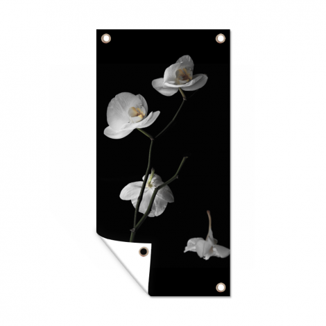Tuinposter - Orchidee - Bloemen - Zwart - Wit - Staand-1
