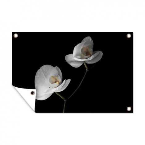 Tuinposter - Orchidee - Bloemen - Zwart - Wit - Liggend