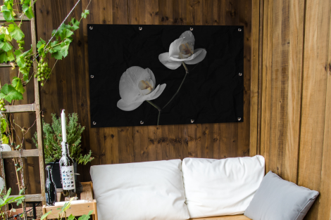 Tuinposter - Orchidee - Bloemen - Zwart - Wit - Liggend-thumbnail-3