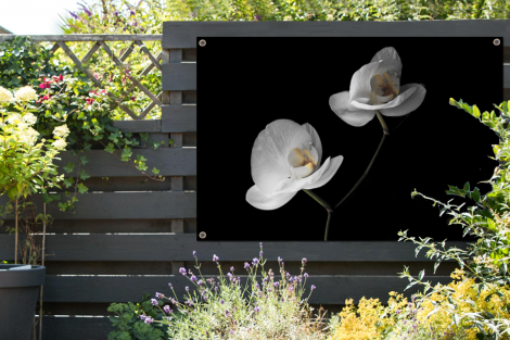 Tuinposter - Orchidee - Bloemen - Zwart - Wit - Liggend-2