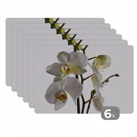 Premium placemats (6 stuks) - Witte mot orchidee - 45x30 cm-1