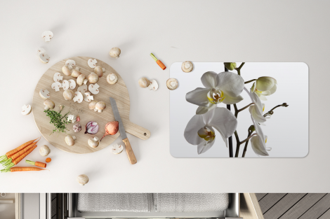 Premium placemats (6 stuks) - Witte mot orchidee - 45x30 cm-4