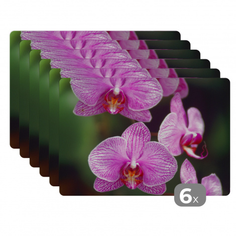 Premium placemats (6 stuks) - Roze orchidee - 45x30 cm