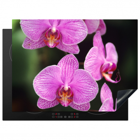 Inductie beschermer - Orchidee - zwart wit